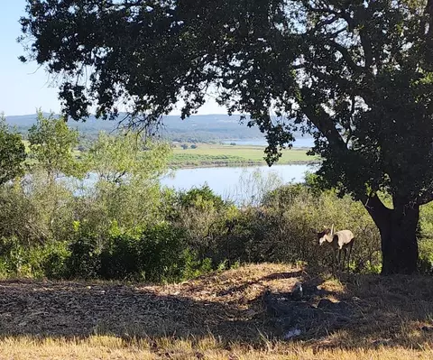 113 Hill Loop, Spicewood, TX 78669