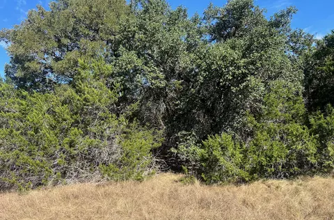 tbd Narrows Rd, Blanco, TX 78606