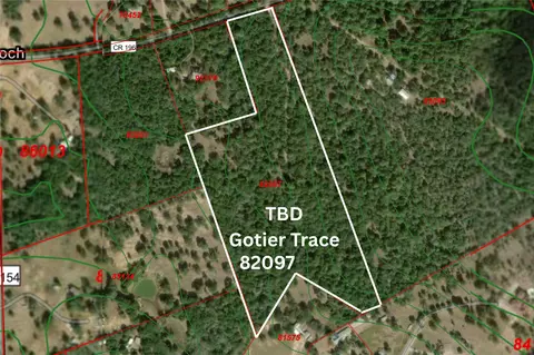 tbd Gotier Trace Rd, Paige, TX 78659