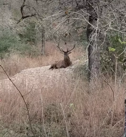 Other - 494 Flash Cir, Luling, TX 78648 photo 3 of 3