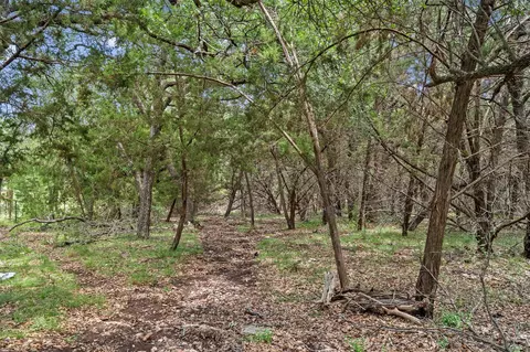 120 E Rustle Cv, Georgetown, TX 78628 photo 9