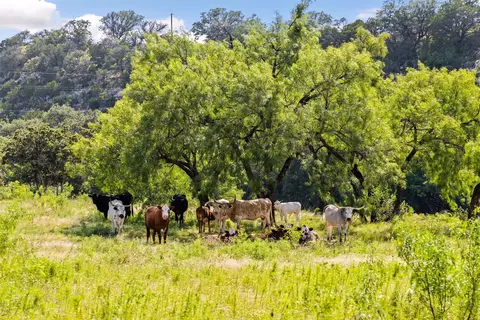 2915 Spring Xing, Junction, TX 76849 photo 11