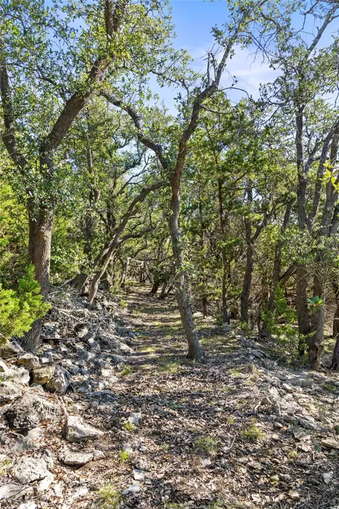 1770 Divide Pass, Blanco, TX 78606 photo 20