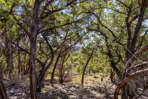 1770 Divide Pass, Blanco, TX 78606 photo 12