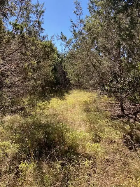 55 York Creek Rd, Driftwood, TX 78619