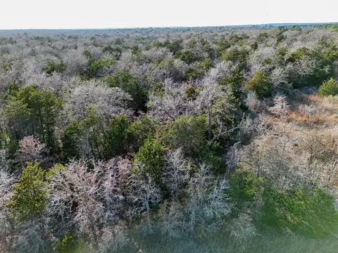 lot15 Antioch Rd, Paige, TX 78659