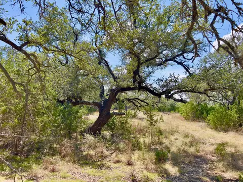 992 Hines Branch Rd, Blanco, TX 78606