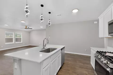 Kitchen - 315 Gladiola Loop, Kyle, TX 78640 photo 5 of 5