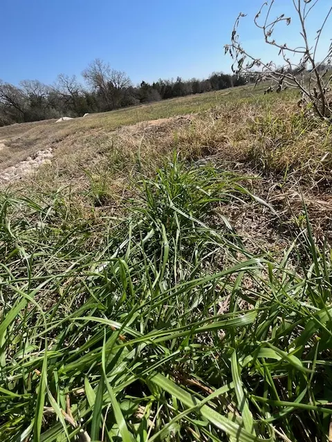 109 Sonoma Dr, Elgin, TX 78621 photo 3