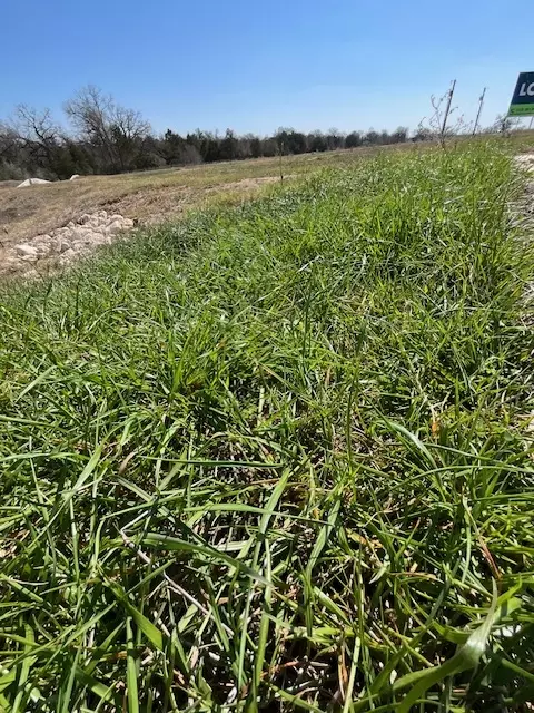 109 Sonoma Dr, Elgin, TX 78621 photo 7