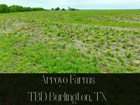 tbd Lot 1 Blk 1 132 Rd, Burlington, TX 76518
