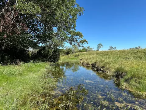 23 Acres County Road 330, Bertram, TX 78605 photo 2