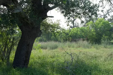 tbd Taylorsville Road Rd, Red Rock, TX 78662