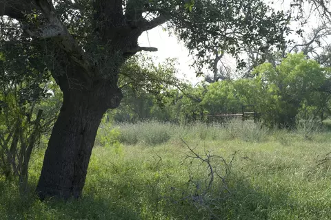 tbd Taylorsville Road Rd, Red Rock, TX 78662