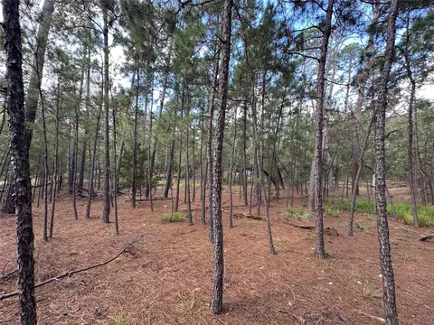 tbd Otto Lane Red Fox Rd, La Grange, TX 78945