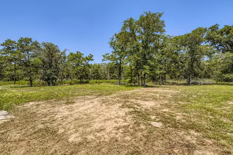 Exterior - 260 Dickerson Ln, Elgin, TX 78621 photo 7 of 8