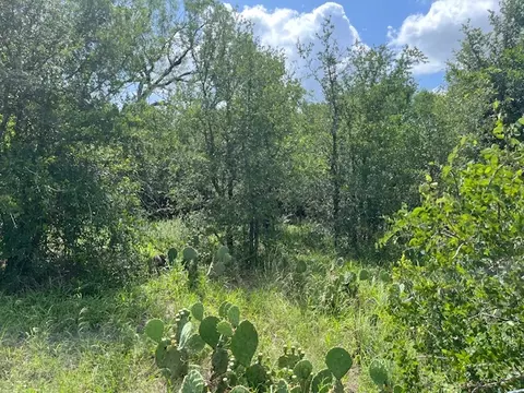 103 Mann Ln, Cedar Creek, TX 78612