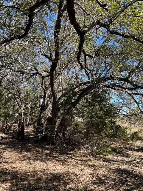 555 River Run, Leander, TX 78641 photo 24