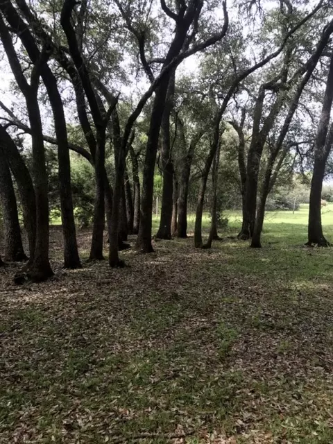 555 River Run, Leander, TX 78641 photo 8