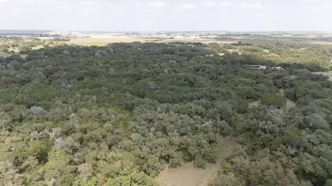 000 Cr 239 Rd, Jarrell, TX 76537 photo 4