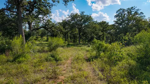 206 Sayers Rd, Bastrop, TX 78602 photo 3