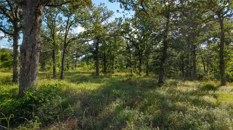 206 Sayers Rd, Bastrop, TX 78602 photo 5