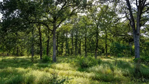 206 Sayers Rd, Bastrop, TX 78602 photo 6