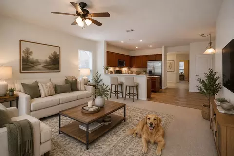 207 Monarch Trl, Georgetown, TX 78633