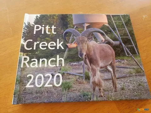 lot4 Cr 1255 Pitt Creek Rnch, Lampasas, TX 76550