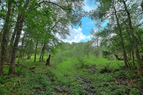 tbd E Whitworth Ln E, Bastrop, TX 78602