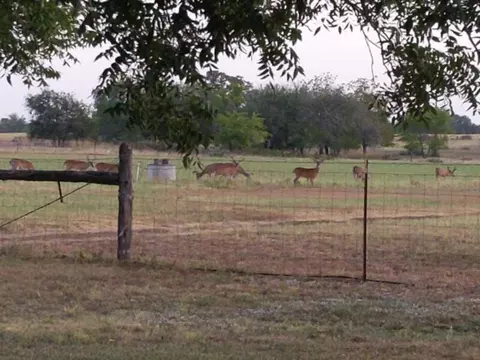 10905 S Fm 1915 Fm 1915 Hwy, Buckholts, TX 76518