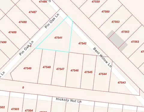 1 Bent Willow Ln, Huntington, TX 75949