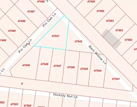 1 Bent Willow Ln, Huntington, TX 75949