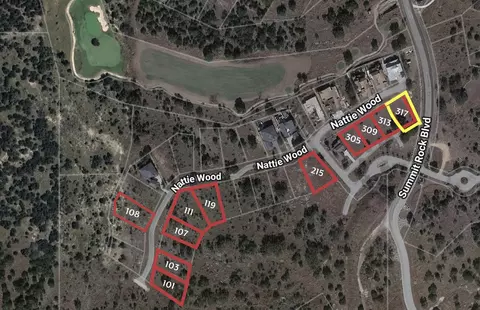 317 Nattie Wood, Horseshoe Bay, TX 78657