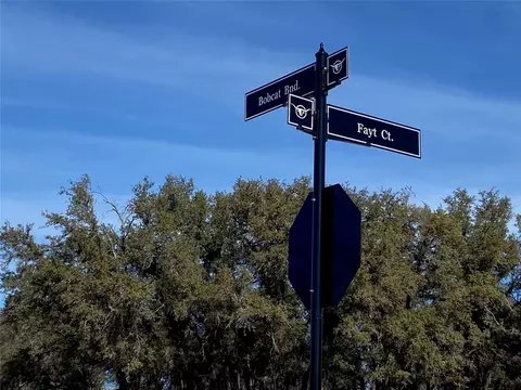 101 Fayt Ct, Georgetown, TX 78628