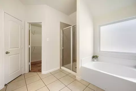 Bath - 19624 Smith Gin St, Manor, TX 78653 photo 1 of 2