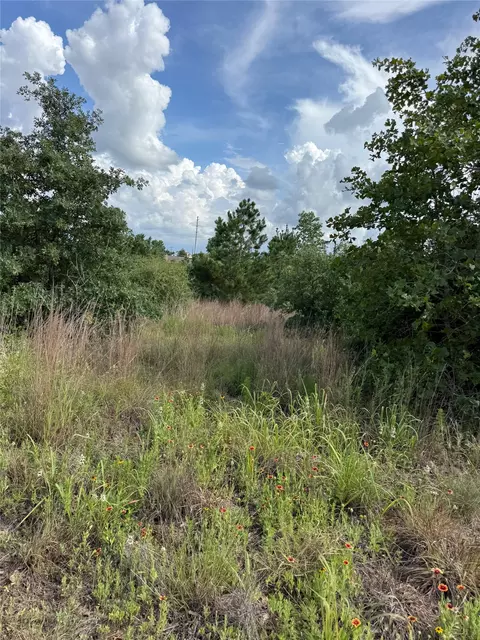 lot S 88 89 90 Pintail Ln, Bastrop, TX 78602