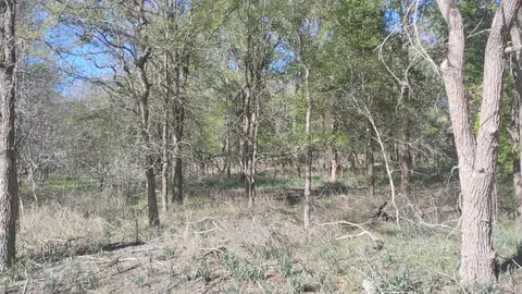 130 W Keomuku Ln, Bastrop, TX 78602
