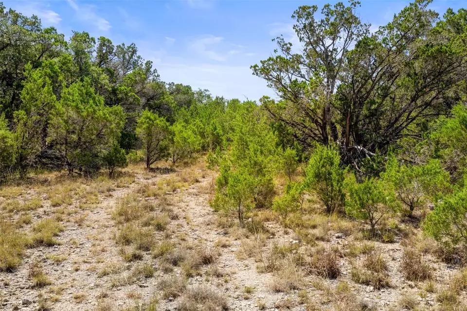  tbd Lipan Run, Fischer, TX 78623 photo 10