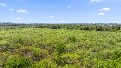 View/Area - Dairy Rd, Kyle, TX 78640 photo 17 of 17