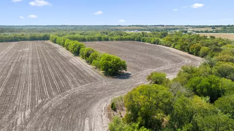 View/Area - Dairy Rd, Kyle, TX 78640 photo 13 of 17