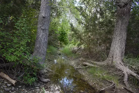 lot24 Riparian Elm Rd, Bertram, TX 78605