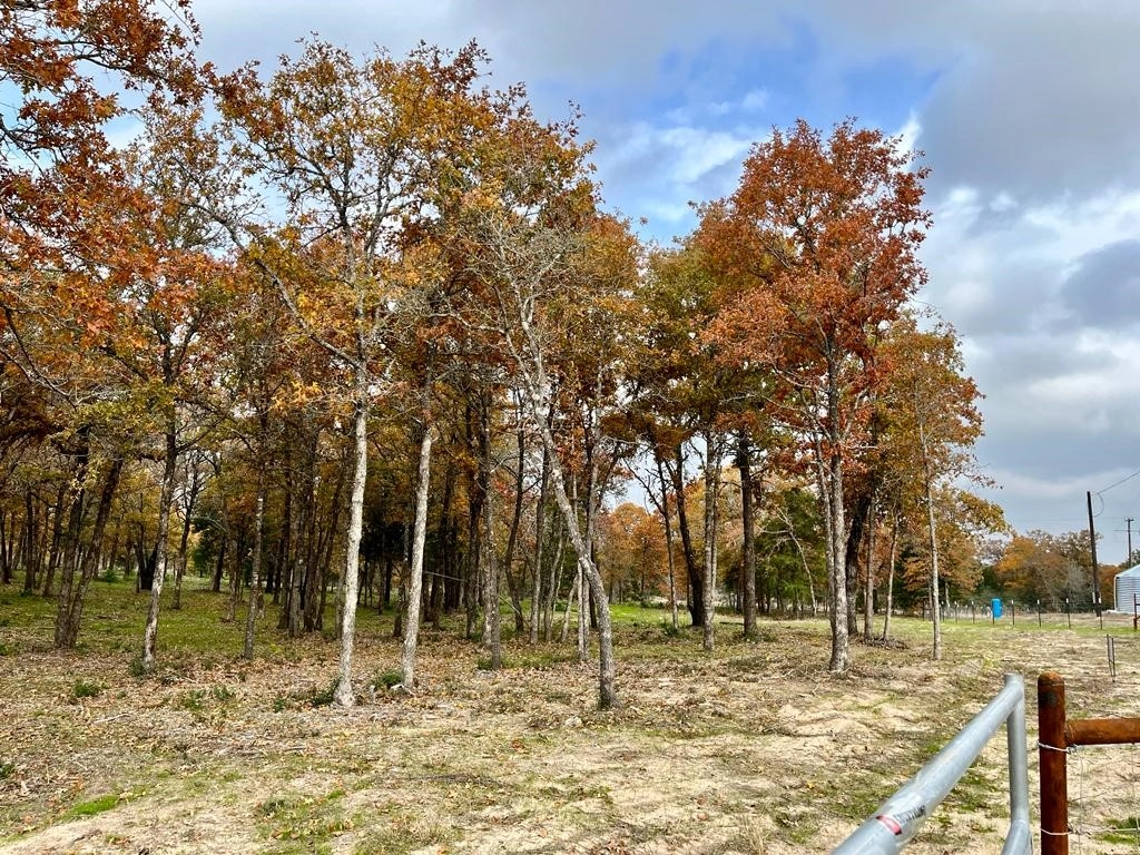 1194 Walleye Crk Trl