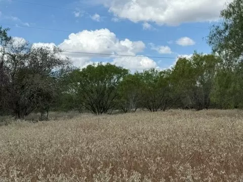 1000 Baker Ranch Rd, Luling, TX 78648 photo 8
