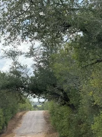 1000 Baker Ranch Rd, Luling, TX 78648 photo 9