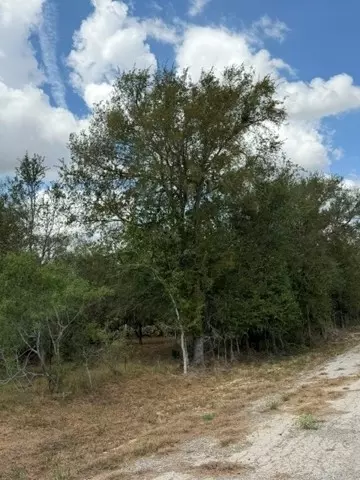 1000 Baker Ranch Rd, Luling, TX 78648 photo 26
