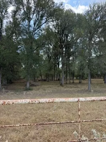 1000 Baker Ranch Rd, Luling, TX 78648 photo 17