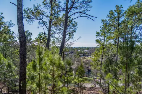 222 Makaha Dr, Bastrop, TX 78602