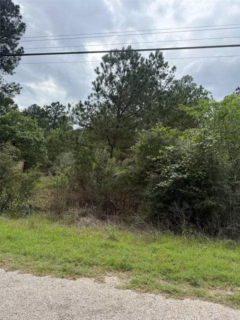 lot1360 N Kuapo Dr, Bastrop, TX 78602