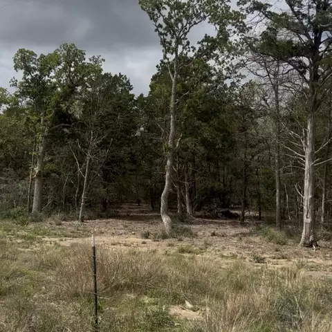 lot15 Antioch Rd, Paige, TX 78659